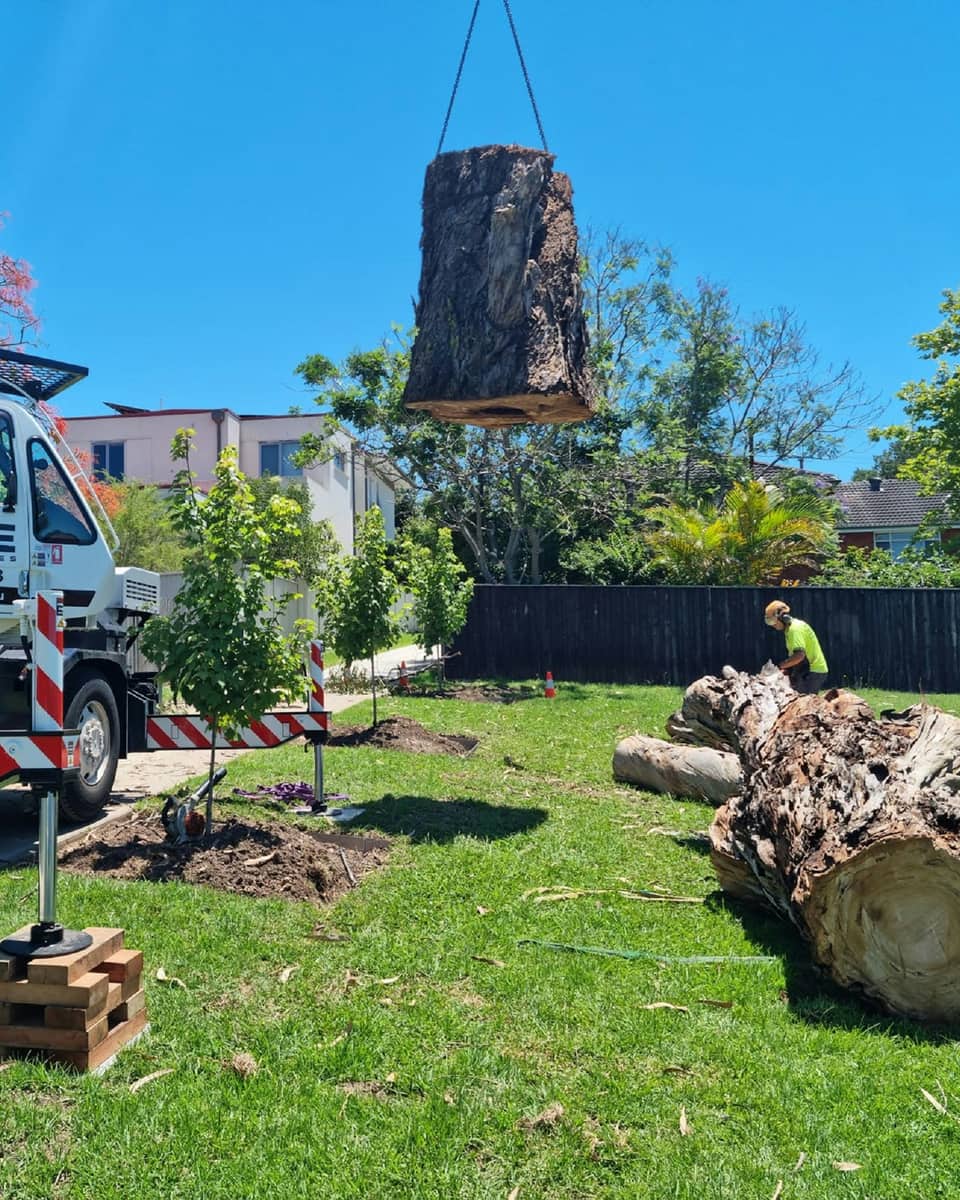 Crane lifting a cut log section out of a residential yard during a sectional tree removal — crane tree service across Northwest Indiana