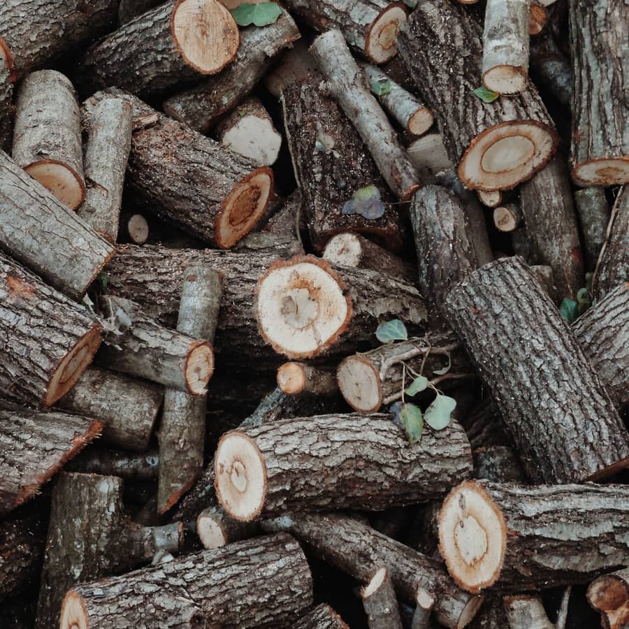 Heap of fresh-cut logs and rounds from a tree removal, bark on and unsplit — free wood delivery across Northwest Indiana