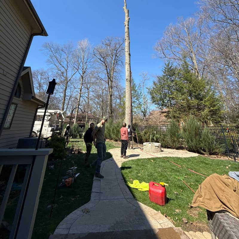 NWI Tree Surgeons crew and bucket truck topping a tall trunk in a Northwest Indiana backyard